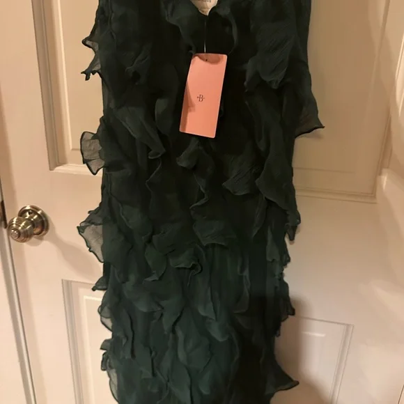 BHLDN Dark Green Ruffled Maxi Dress - Picture 4 of 7